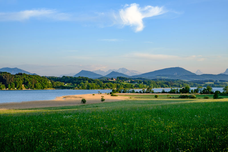 Immobilie Salzburg Seekirchen Wallersee Wohnen Salzburger Seenland