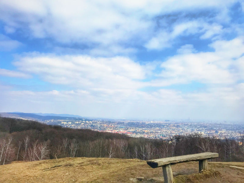 Haben Sie Wien schon von Lainz gesehn…